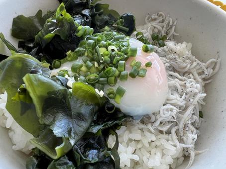 わかめを載せた釜揚げしらす丼 わかめを載せた釜揚げしらす丼 わかめ,しらす,しらす丼の写真素材