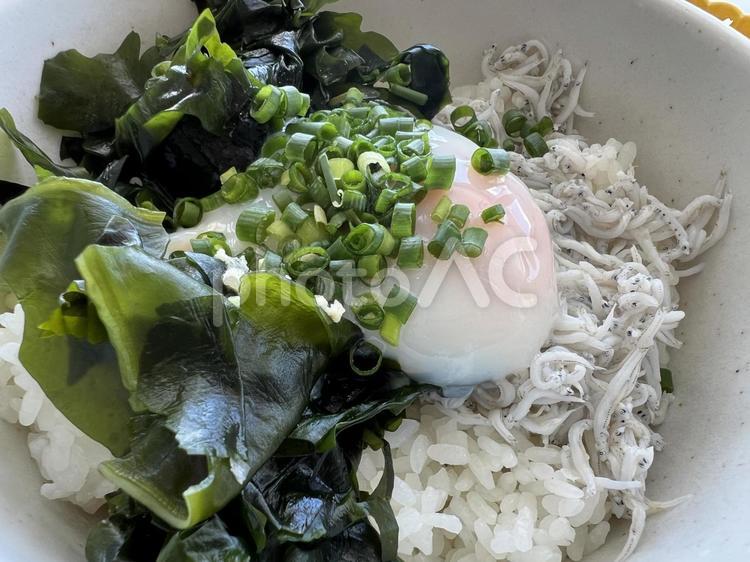 わかめを載せた釜揚げしらす丼 わかめ,しらす,しらす丼の写真素材