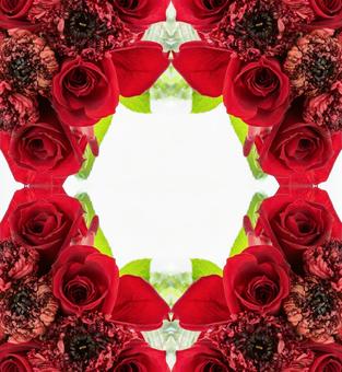 主に赤色の2種花柄イメージ素材 主に赤色の2種花柄イメージ素材 花,赤,バラの写真素材