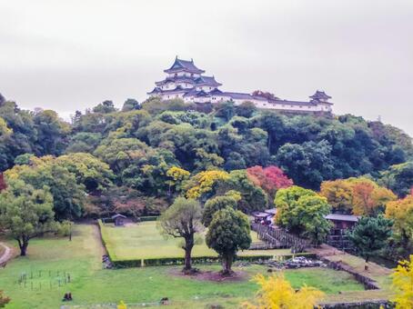 【和歌山県】和歌山市・和歌山城 和歌山城,和歌山市,和歌山県の写真素材