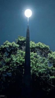 Lights in the park, JPG Lights in the park, JPG