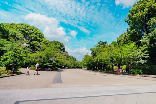 【東京】上野公園 2025 【東京】上野公園 2025の写真