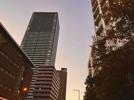 都市の街並 都市の街並 都市,都市の街並,都会の写真素材