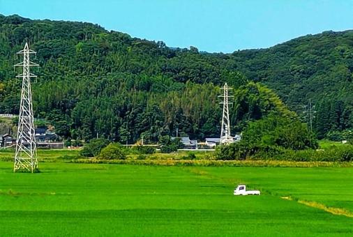 夏ののどかな情景 夏ののどかな情景 田園風景,田んぼ,水田の写真素材