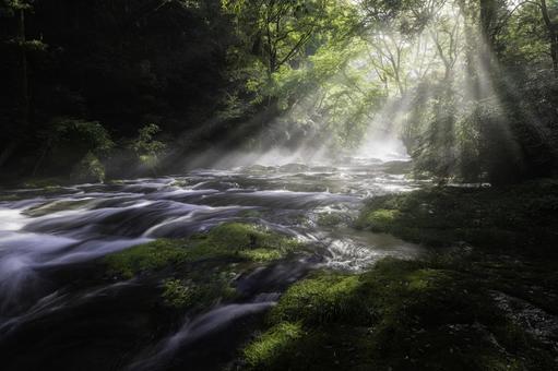 熊本-【菊池渓谷の光芒】 熊本,菊池渓谷,川の写真素材