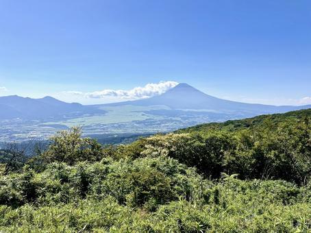 夏空と富士山 夏空と富士山の写真