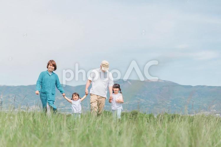 春・夏に公園・草原を歩く家族・ファミリー 家族,子供,親子の写真素材