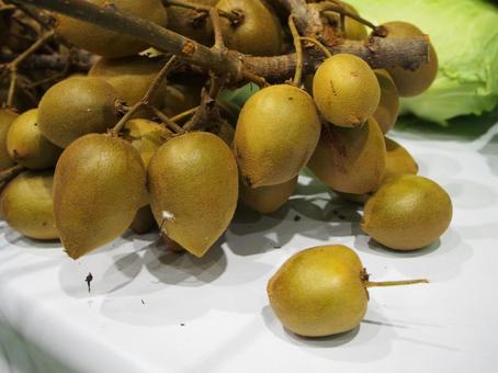 キウイフルーツ キウイフルーツ,キウイ,果物の写真素材