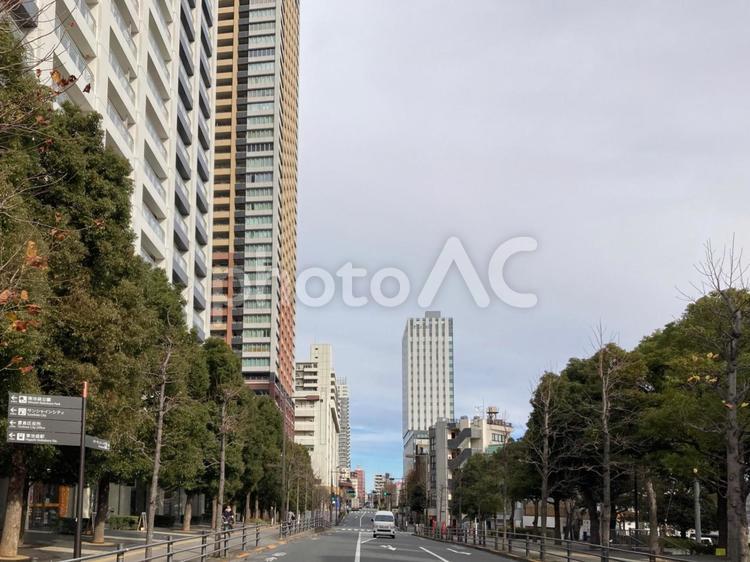 東池袋高層ビルと街路樹　豊島区 東池袋,豊島区,道路の写真素材