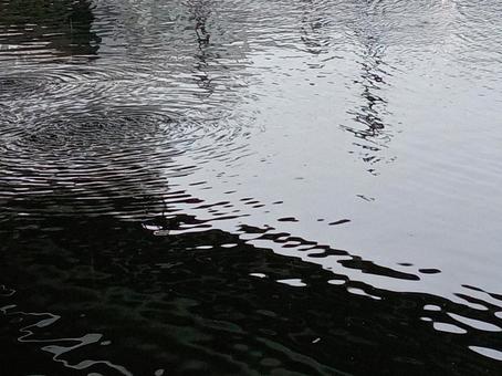 水紋の写真