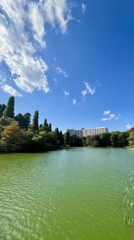 秋の井の頭公園 風景,空,井の頭公園の写真素材