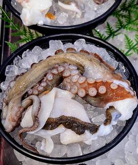 Photo, octopus, raw dako, seafood, 