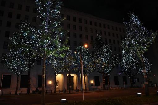 御堂筋イルミネーション 御堂筋,イルミネーション,夜景の写真素材