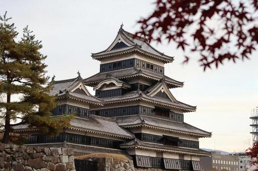 松本城 松本城,国宝,松本の写真素材