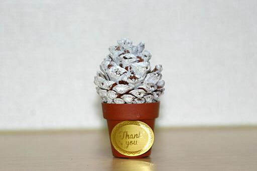 ミニクリスマツツリー ミニクリスマツツリーの写真