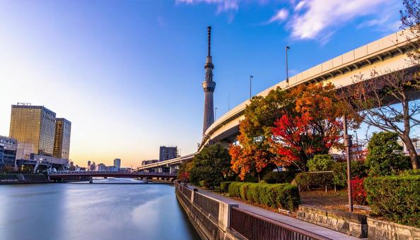 都会のランドマークタワー 都会のランドマークタワーの写真