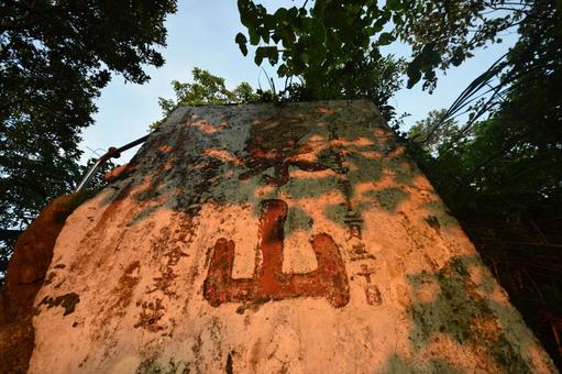 台北101の風景 台湾,台北,台北101の写真素材