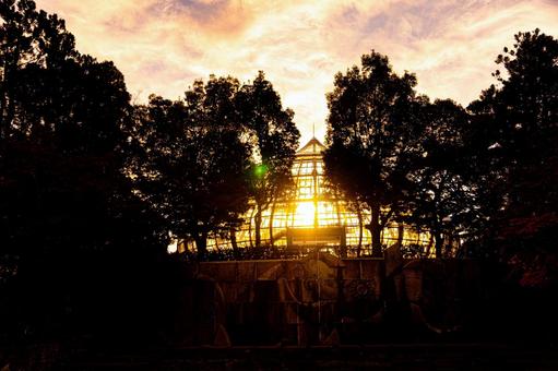 朝日 公園 朝日 公園の写真