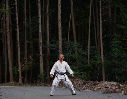 空手（木立②） 空手,構え,形の写真素材