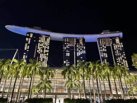 マリーナベイサンズ 夜景 マリーナベイサンズ 夜景 マリーナベイサンズ,シンガポール,singaporeの写真素材