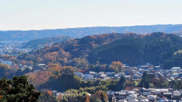 天覧山から見る飯能の街&紅葉の山・飯能市 天覧山から見る飯能の街&紅葉の山・飯能市の写真