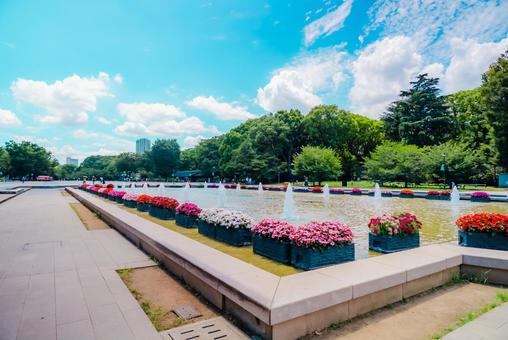 Photo, tokyo, ueno, ueno park, 