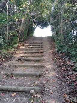 自然歩道2 階段,散歩道,木の葉の写真素材