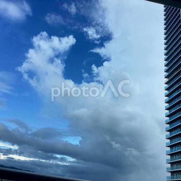 空と高層マンション 高層マンション,建物,空の写真素材