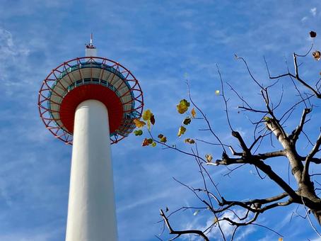 冬の京都タワー 冬の京都タワー 京都タワー,冬,京都の写真素材