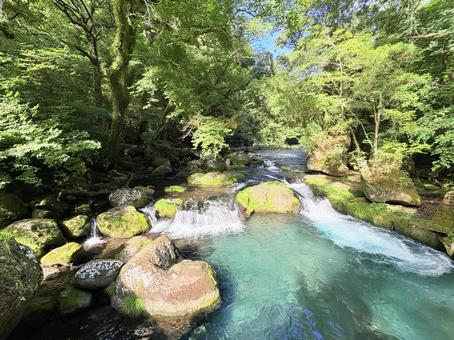 上流の風景 水源,上流,水の写真素材
