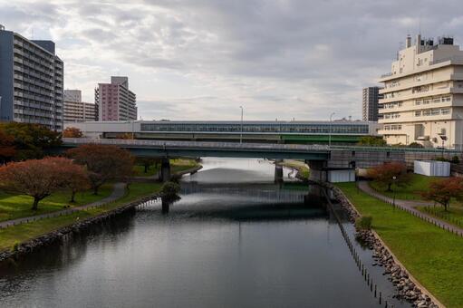 大島小松川公園　2025年 大島小松川公園,江戸川区,東大島の写真素材
