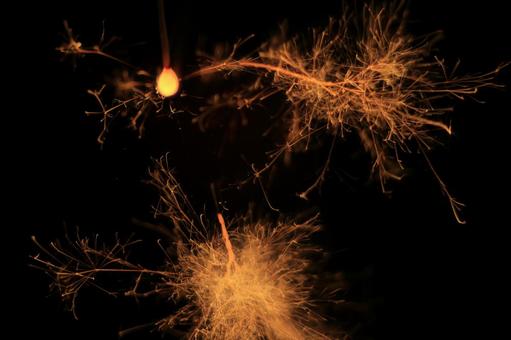 線香花火 線香花火,花火,火花の写真素材