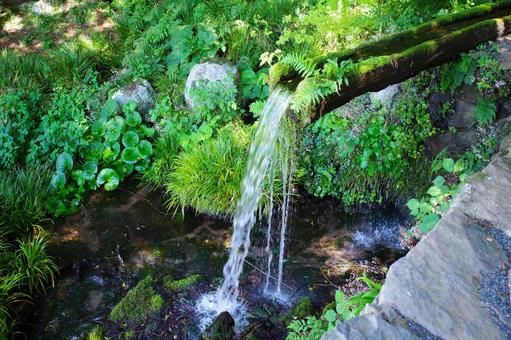 泉水、泉水、水流、灌溉水、名水/山梨縣北斗市大瀧泉水公園 泉水、泉水、水流、灌溉水、名水/山梨縣北斗市大瀧泉水公園