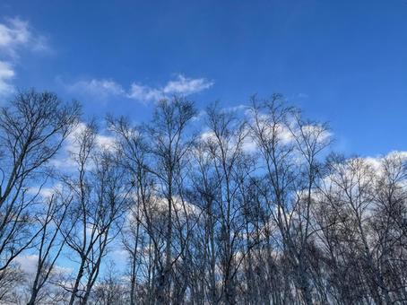 春の風景 春の風景の写真