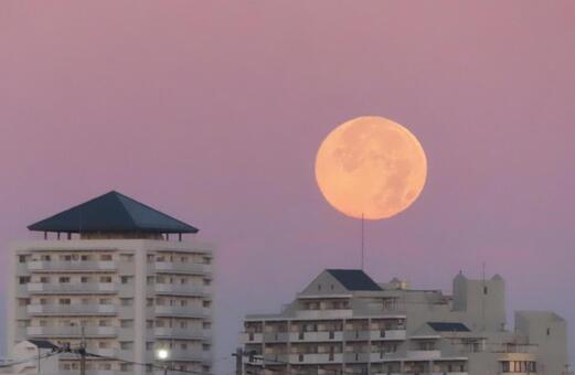 朝焼けに輝く満月と住宅街の夜明け 満月,朝焼け,月の写真素材