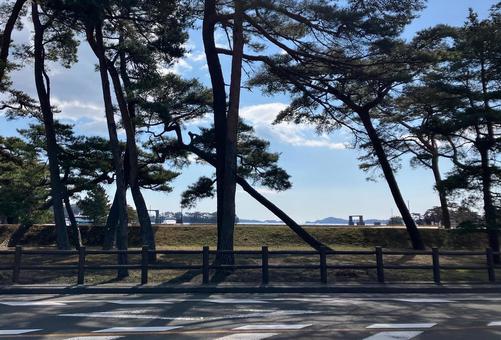 松島 陸側からの景色 02 松島 陸側からの景色 02 宮城県,松島,観光の写真素材