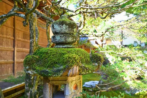 西尾の吉良家の菩提寺「片岡山 華蔵寺」 西尾の吉良家の菩提寺「片岡山 華蔵寺」 華蔵寺,菩提寺,吉良上野介義央の写真素材