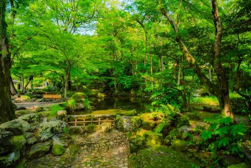 【岐阜】岐阜公園 2025 【岐阜】岐阜公園 2025の写真