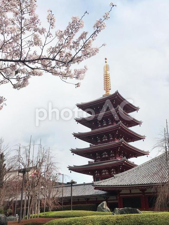 浅草　浅草寺　宝蔵門　五重塔　東京 浅草,浅草寺,宝蔵門の写真素材