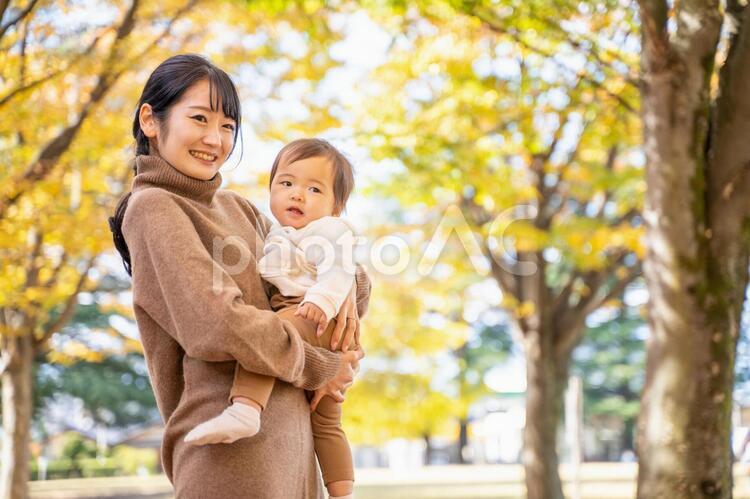 秋の公園で遊ぶ赤ちゃんとママ 赤ちゃん,ママ,横顔の写真素材