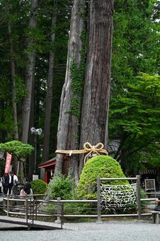 山梨・北口本宮富士浅間神社 の写真