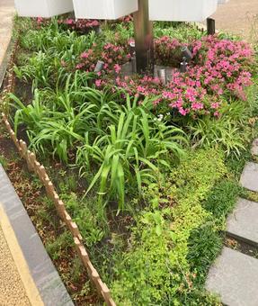 花壇 花壇の写真