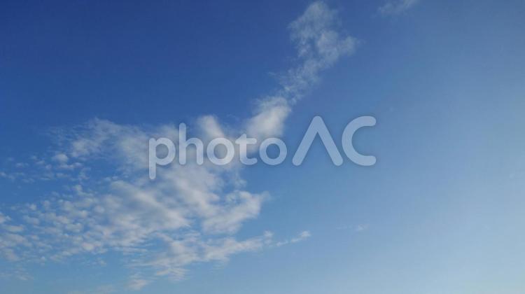 早朝の澄み切った空に浮かぶ白い雲 空,青,雲の写真素材
