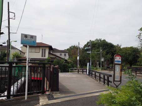 祖師ヶ谷の街並み(東京都・世田谷区) 祖師ヶ谷の街並み(東京都・世田谷区) 祖師ヶ谷通り,祖師ヶ谷,街並みの写真素材