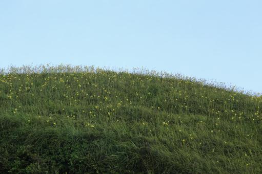 南伊豆町の素晴らしいユウスゲ公園の景色 南伊豆町の素晴らしいユウスゲ公園の景色 南伊豆,ユウスゲ公園,景色の写真素材