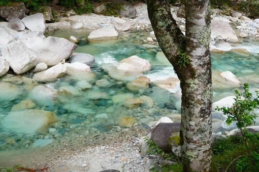 キャンプ場近くの澄んだ水辺 キャンプ場近くの澄んだ水辺の写真