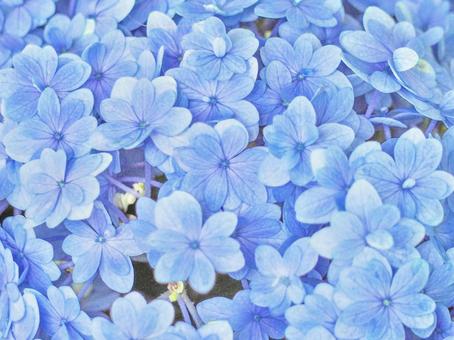 Blue World, JPG Blue World, JPG