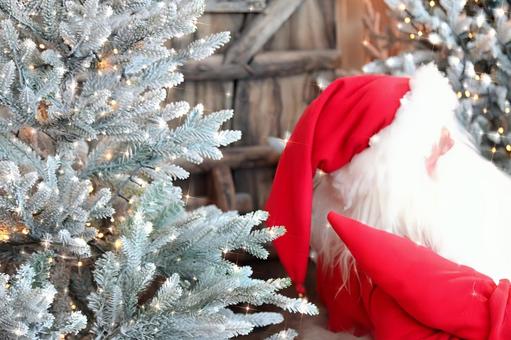クリスマスツリーとサンタクロース クリスマス,サンタクロース,クリスマスツリーの写真素材