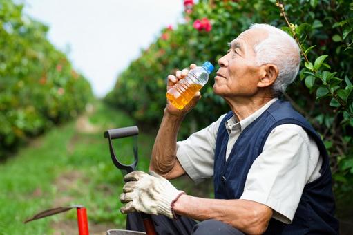 畑仕事の合間に水を飲んで休憩する老人 畑仕事の合間に水を飲んで休憩する老人の写真