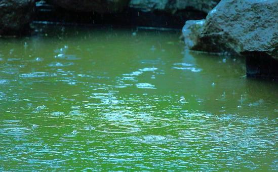 雨の波形ー自然の美 雨の波形ー自然の美 雨の波形,雨の日,波形の写真素材